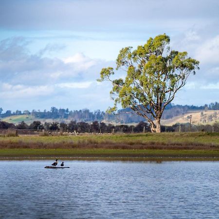 Blackwood Park Cottages Mole Creek エクステリア 写真