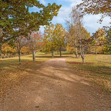Blackwood Park Cottages Mole Creek エクステリア 写真