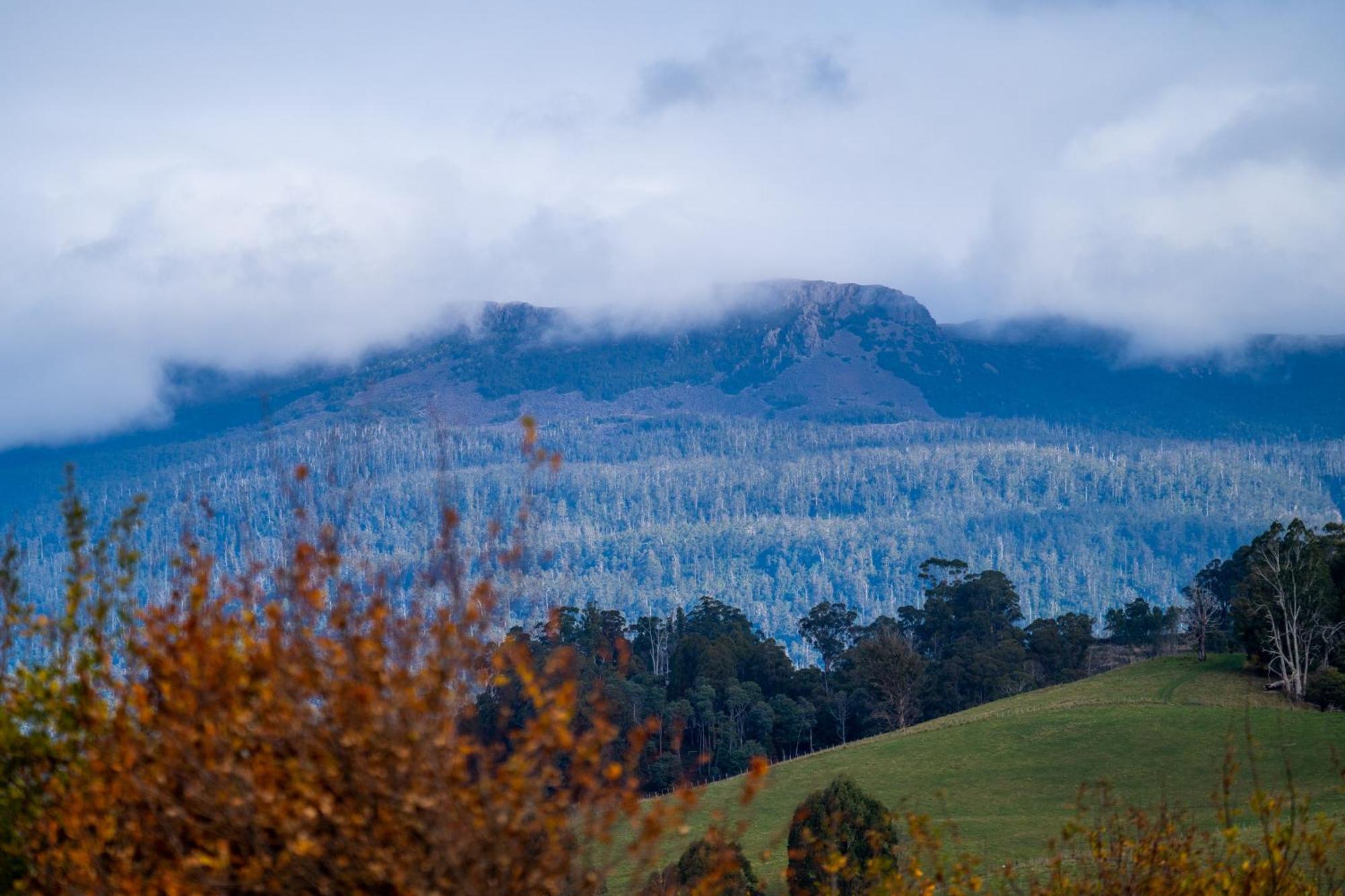 Blackwood Park Cottages Mole Creek エクステリア 写真