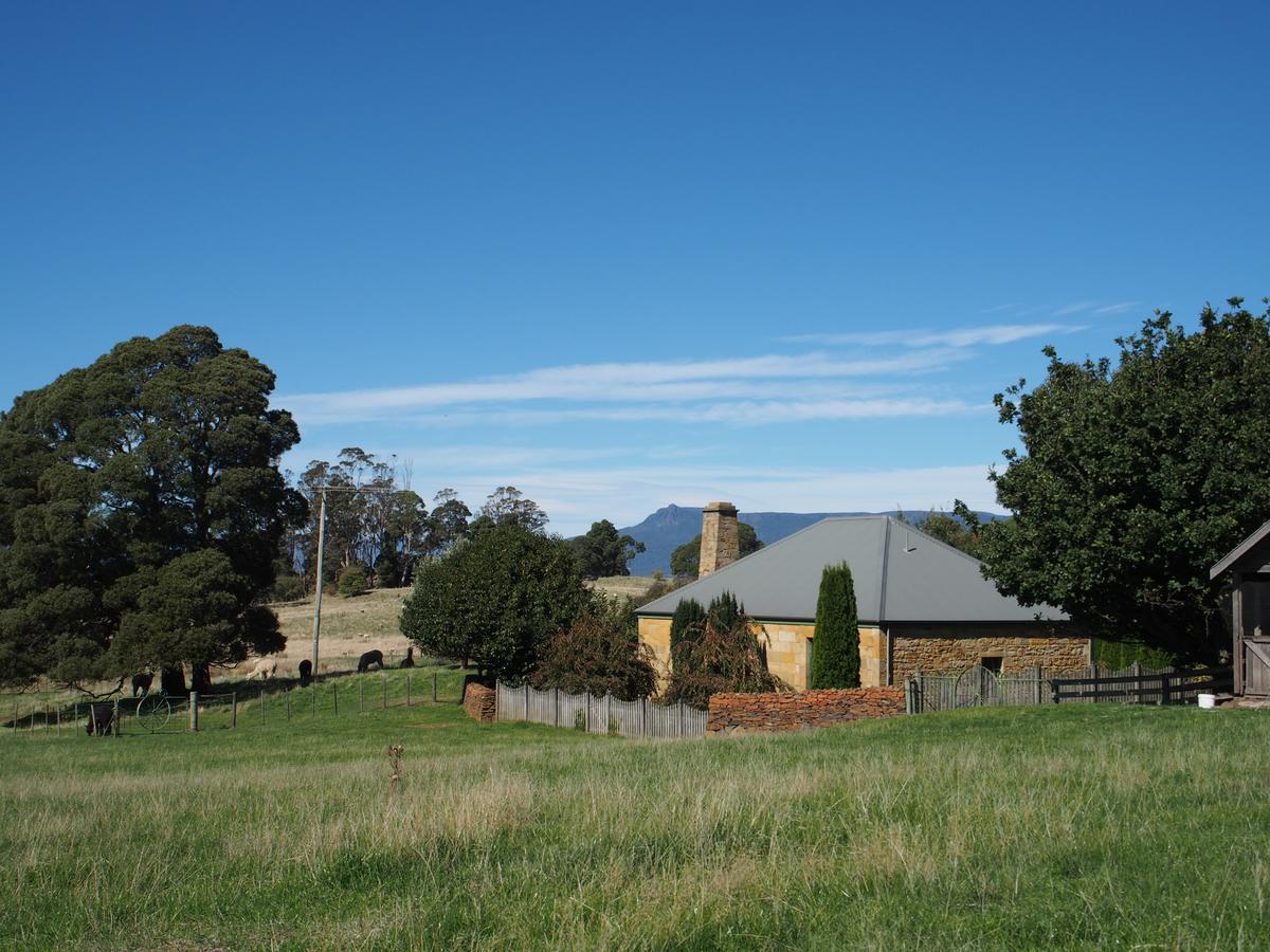 Blackwood Park Cottages Mole Creek エクステリア 写真