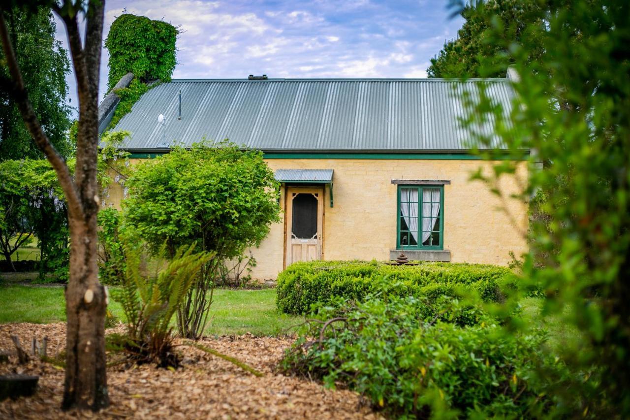 Blackwood Park Cottages Mole Creek エクステリア 写真